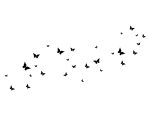 استیکر دیواری طرح پروانه - Image 5