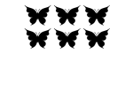 مجموعه برچسب دیواری پروانه‌ها - Image 4