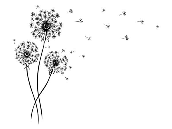 برچسب دیواری طرح قاصدک - تصویر 5