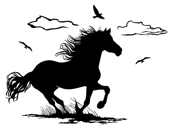 برچسب دیواری اسب وحشی در حال تاخت و تاز - Image 2