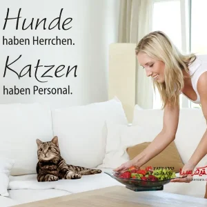 سگ‌های برچسب دیواری ...